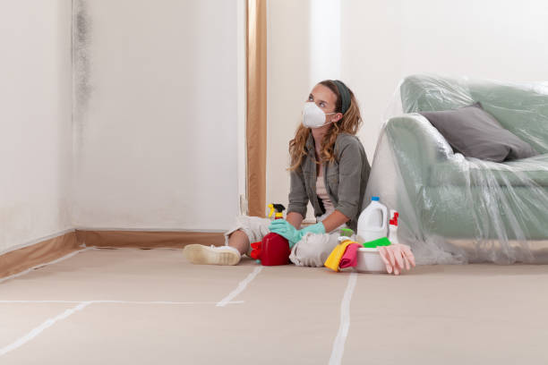 Reliable Mold Remediation contractor in Auburn, WA by 24 Hour Mold Removal